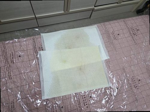 김포 누수탐지 통진읍 누수탐지 아파트벽지젖음 초기 대응이 피해를 줄입니다