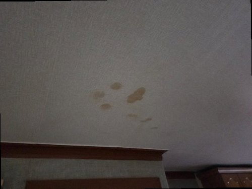 사상구 누수탐지 주방 천장 누수 흔적과 피해 범위를 확인하는 현장
