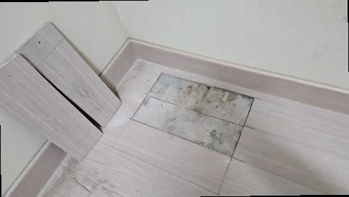 옥천군 누수탐지 동이면 누수탐지 거실도배물자국 압력검사와 방수점검, 무엇이 다를까