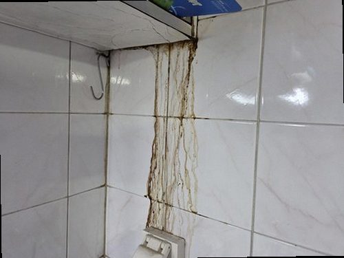 상록구 누수탐지 수도계량기 별침과 보일러 배관을 확인하는 모습