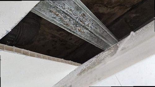 상록구 누수탐지 공압 게이지와 가스 탐지기를 이용한 배관 검사 장면