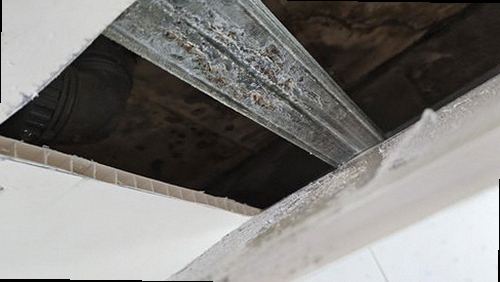 서해구·검단구 누수탐지 청라1동 누수탐지 벽체누수증상 젖은 벽에서 찾은 누수 원인