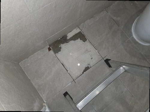 덕양구 누수탐지 벽지 변색과 들뜸 상태를 확인하는 누수 점검 현장