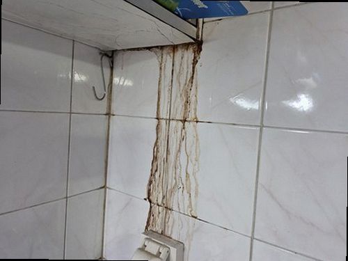 부산 동구 누수탐지 거실 천장과 벽면에 나타난 누수 흔적을 확인하는 모습